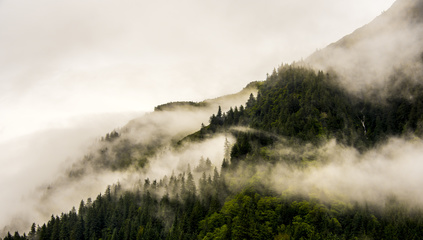 Fototapeta Górska Mgła